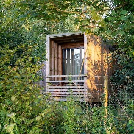 Cozy Forest Retreat Antoing