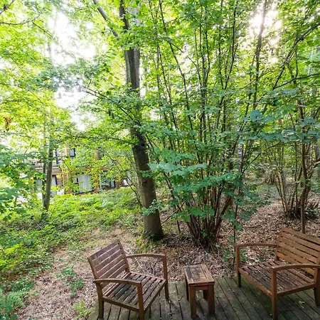 Cozy Forest Retreat Prázdninový dům Antoing